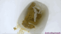 Dirty Toilet Goddess Wishes