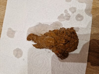 Scat 118: Melted chocolate