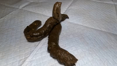erotic poops on the floor and ass worship