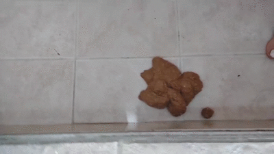 look at me in the shower, poop and orgasm
