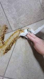 Scatgirl Public Restroom Creamy Mess Left for Loser Janitor