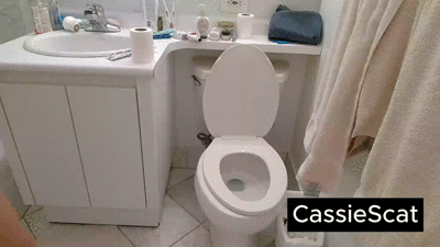 Orange Toilet Poop and Pee + Closeup Wiping