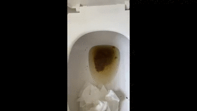 Classy Poop Comp 2