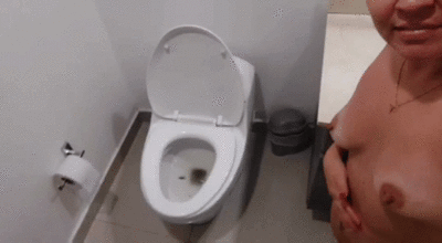 Plug the hotel toilet