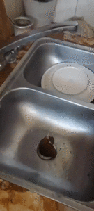 Pooping inside my Kitchen Sink