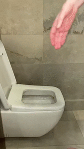 Inside Toilet POV