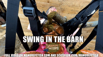 Swing in the barn 4k