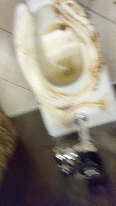 NEW Public Restroom Smearing Mess