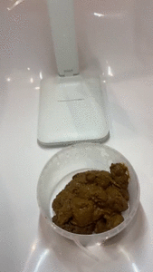 Poop in plastic box