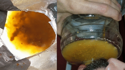 Honey-garlic PEANUTS & SEAWEED chips SCAT MEAL