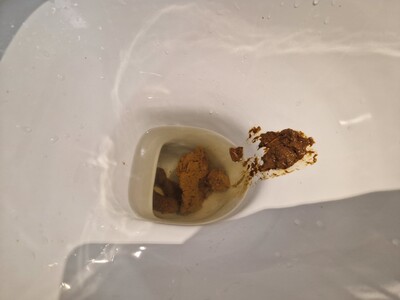 Scat 266: on the toilet