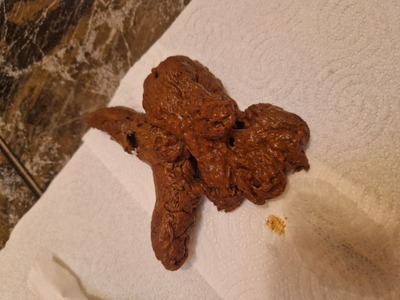 Scat 271: shit from days ago