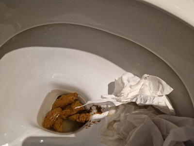 Scat 279: WC