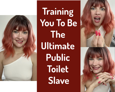 Training You To Be The Ultimate Public Toilet Slave