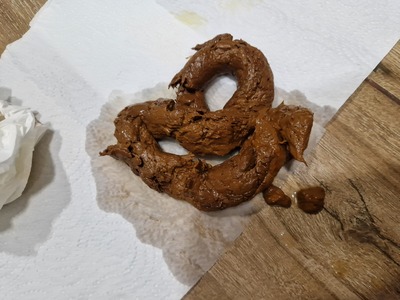 Scat 330: Soggy churro!