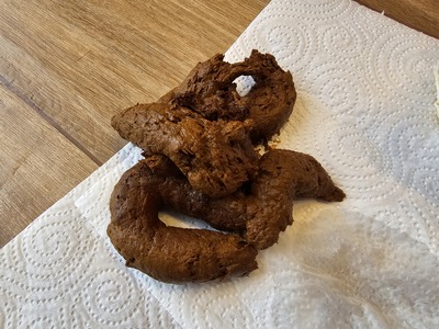 Scat 371: Huge churro from all weekend!