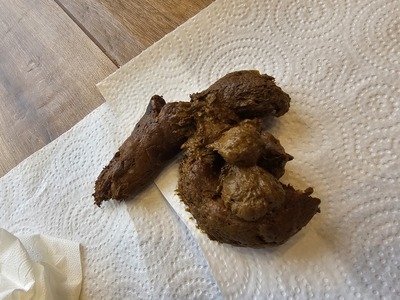 Scat 372: hard and softer