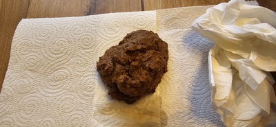 Scat 379: big diarrhea!