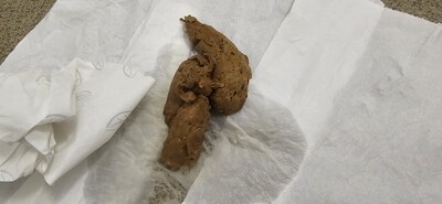 Scat 381: Sweet chocolate!