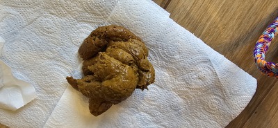 Scat 382: pasty and stinky caviar