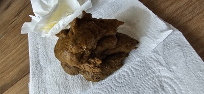 Scat 383: Caviar with pee drops