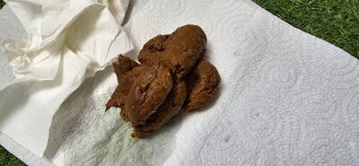 Scat 384: hard and soft