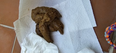 Scat 386: pasty chocolate