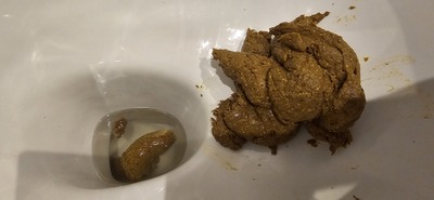 Scat 392: pistachios
