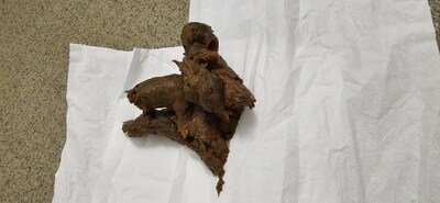 Scat 394: hard chocolate