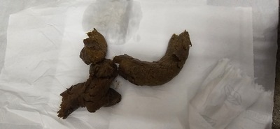 Scat 395: hard churros!