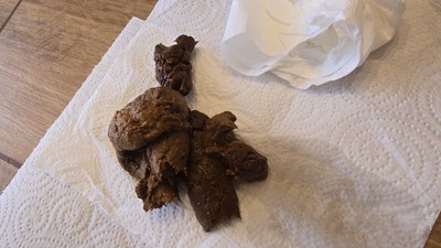 Scat 396: hard and soft