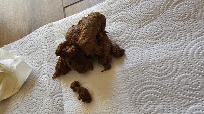 Scat 399: Soft dough!