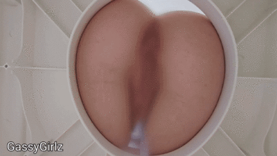 A DAY AT LIFE OF A LIBRARY TOILET