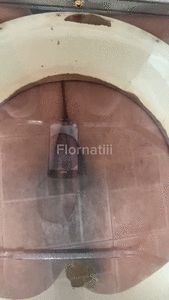 Toilet pov