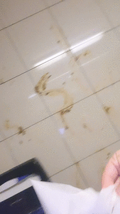 Scat Girl Public Restroom Mess 2025