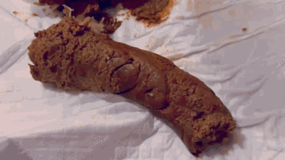 Awesome efro poop on the couch