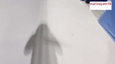 Shitting at a pro tennis match