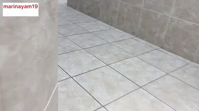 Shitting at buc - ees