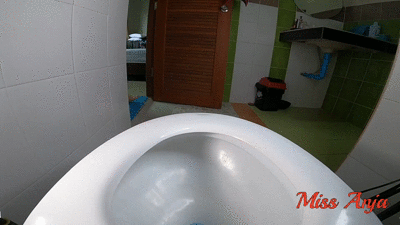 Diarrhea Delight/Toilet Shit Play For Voyeurs