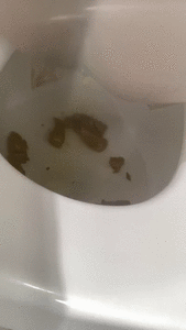 Yummy Yummy Yummy for your Tummy Tummy Tummy