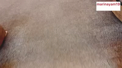 Almost shit my pants with diarrhea