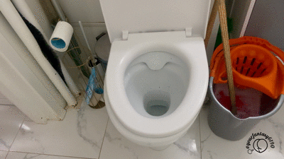 Front View Toilet Surprise