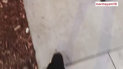 Almost run into a mens room