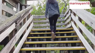 Shit at a composting toilet