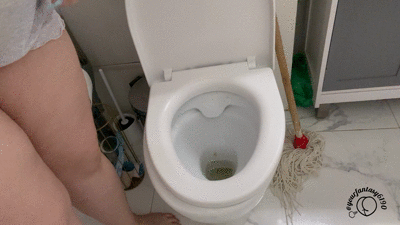 Front Seat At My Bathroom Spectacle