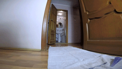 Exquisite Shit from my Ass