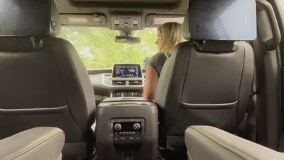 Massive shit in my car!