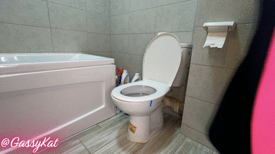 The Daily Toilet Episode 1