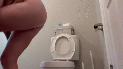 Elevated Shit w/ splashing sounds!