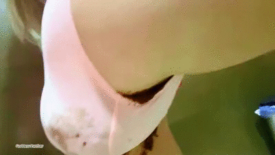 Calvin Klein Ruined Panties